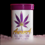 Hemp Flower Lifter Strain 4g